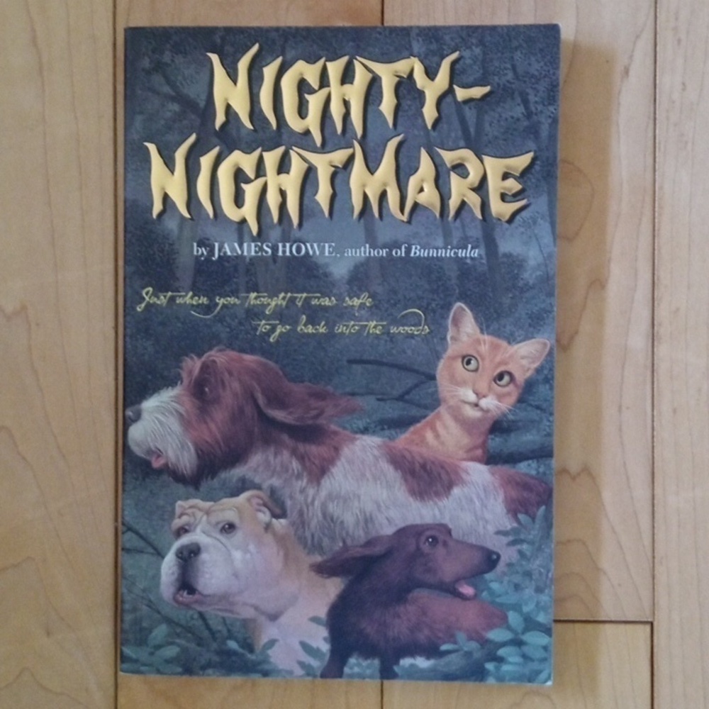 Nighty Nightmare by James Howe